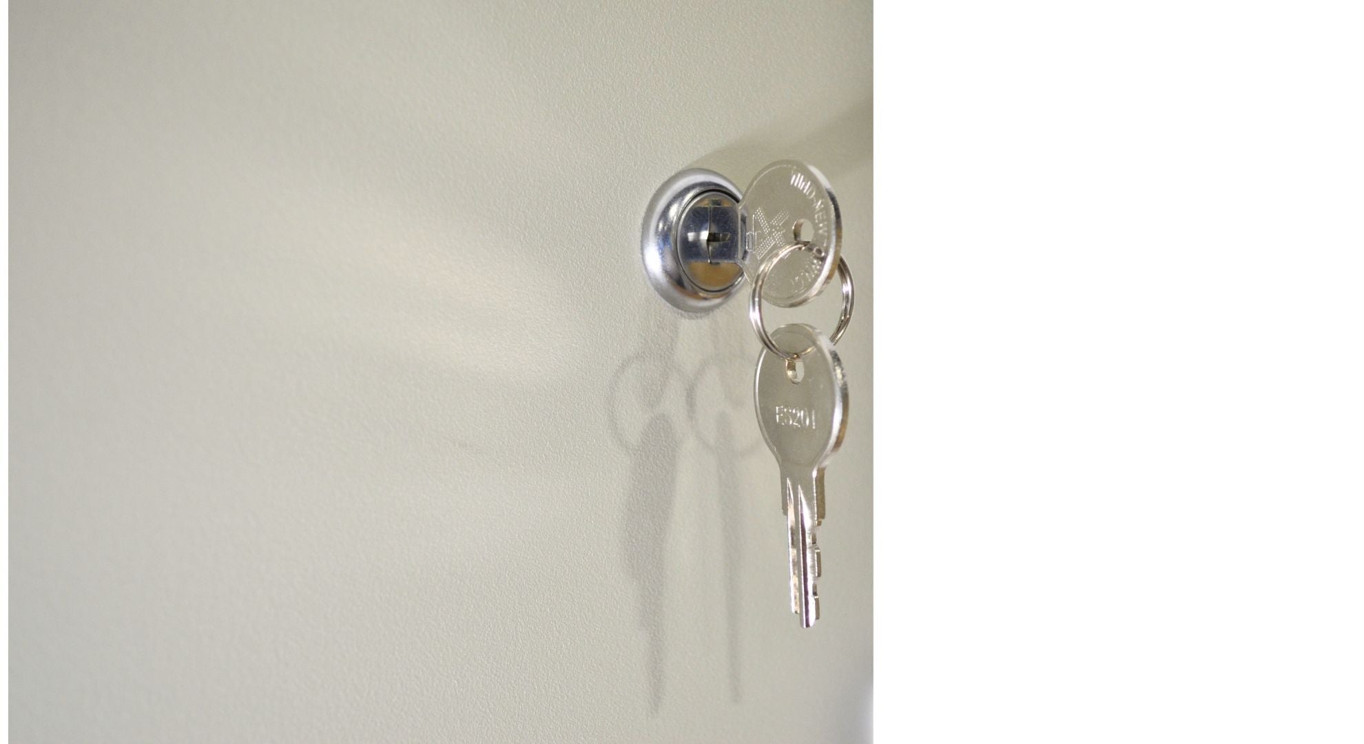 Software House PSX-75-C4PE1 single voltage power system