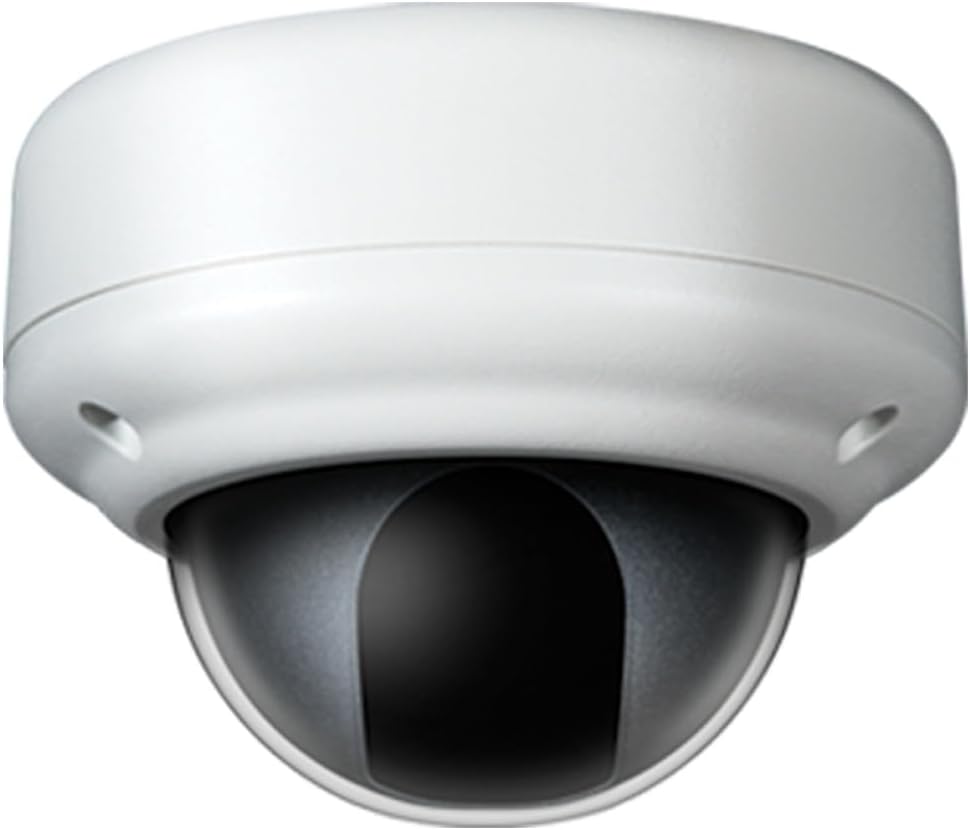 Clinton Electronics CE-955-CAM Indoor Day Night Dome