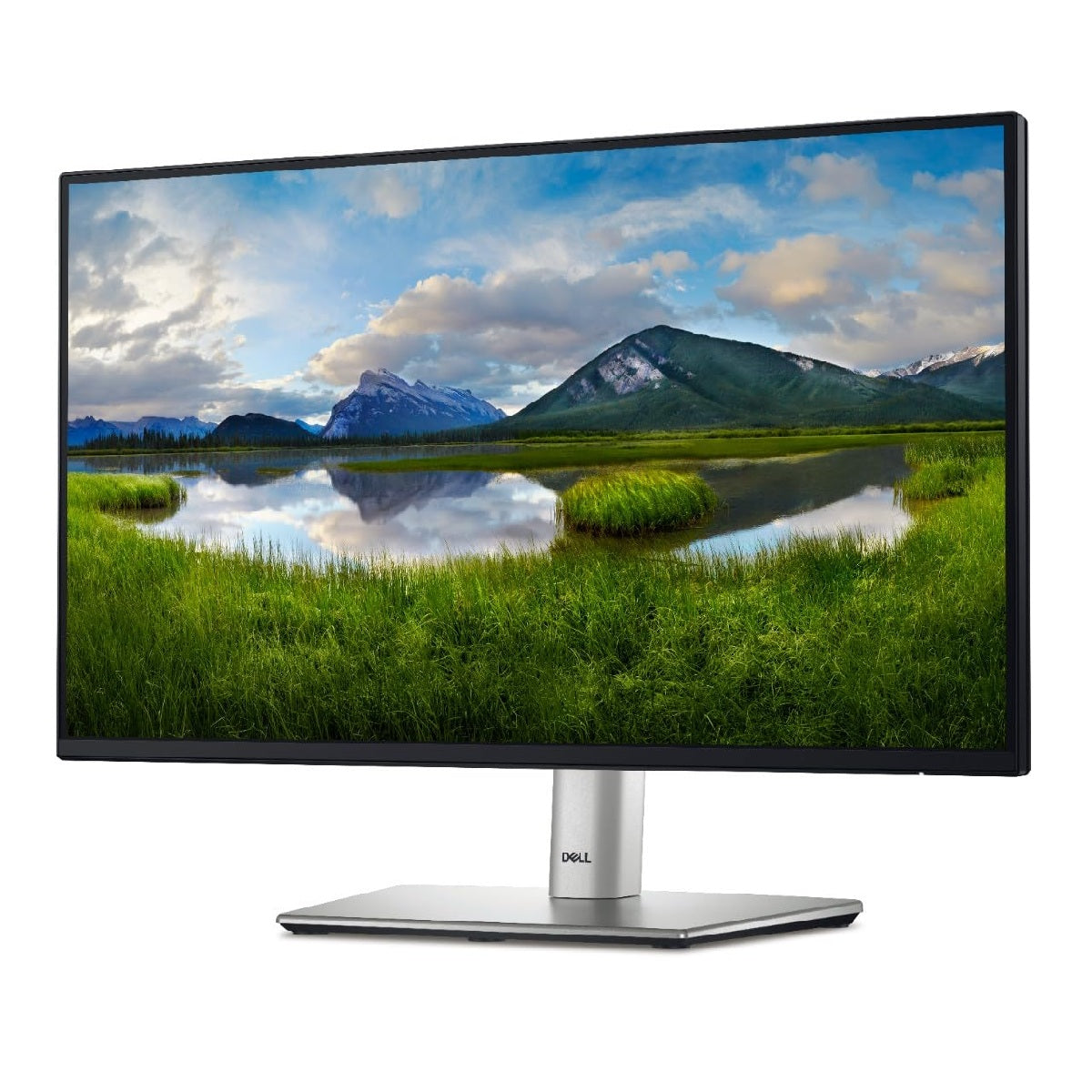 Dell P2422H 24 Monitor Full HD 1080p, IPS Technology, Comfortview Plus Technology