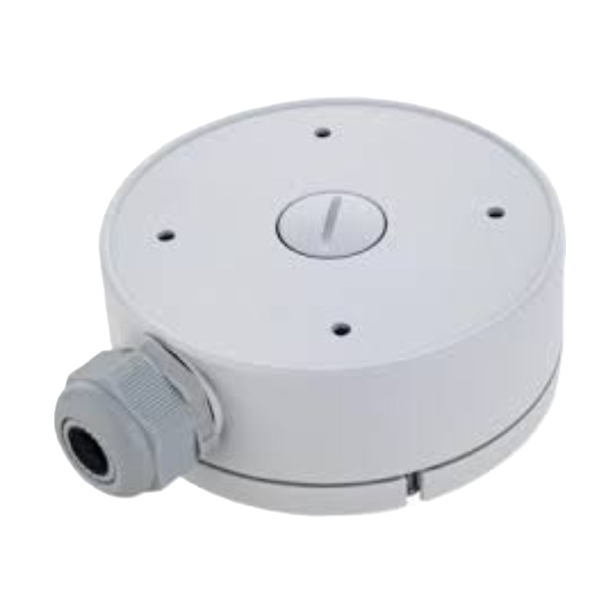 Eagle Eye Networks EN-CAPM-002 Camera Pole Mount PM002