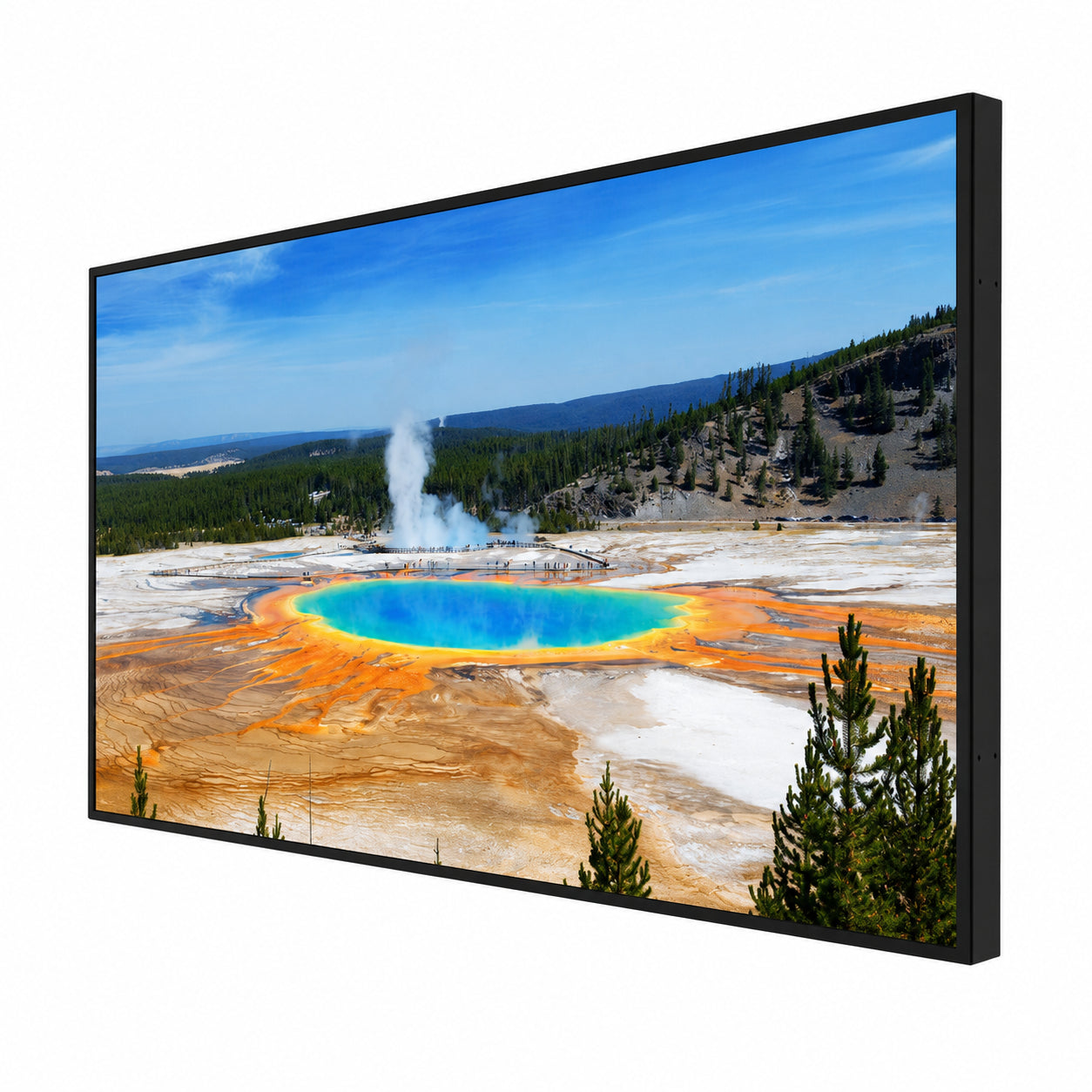 Planar Systems Simplicity Series SLM50 50" UHD 4K Commercial Monitor
