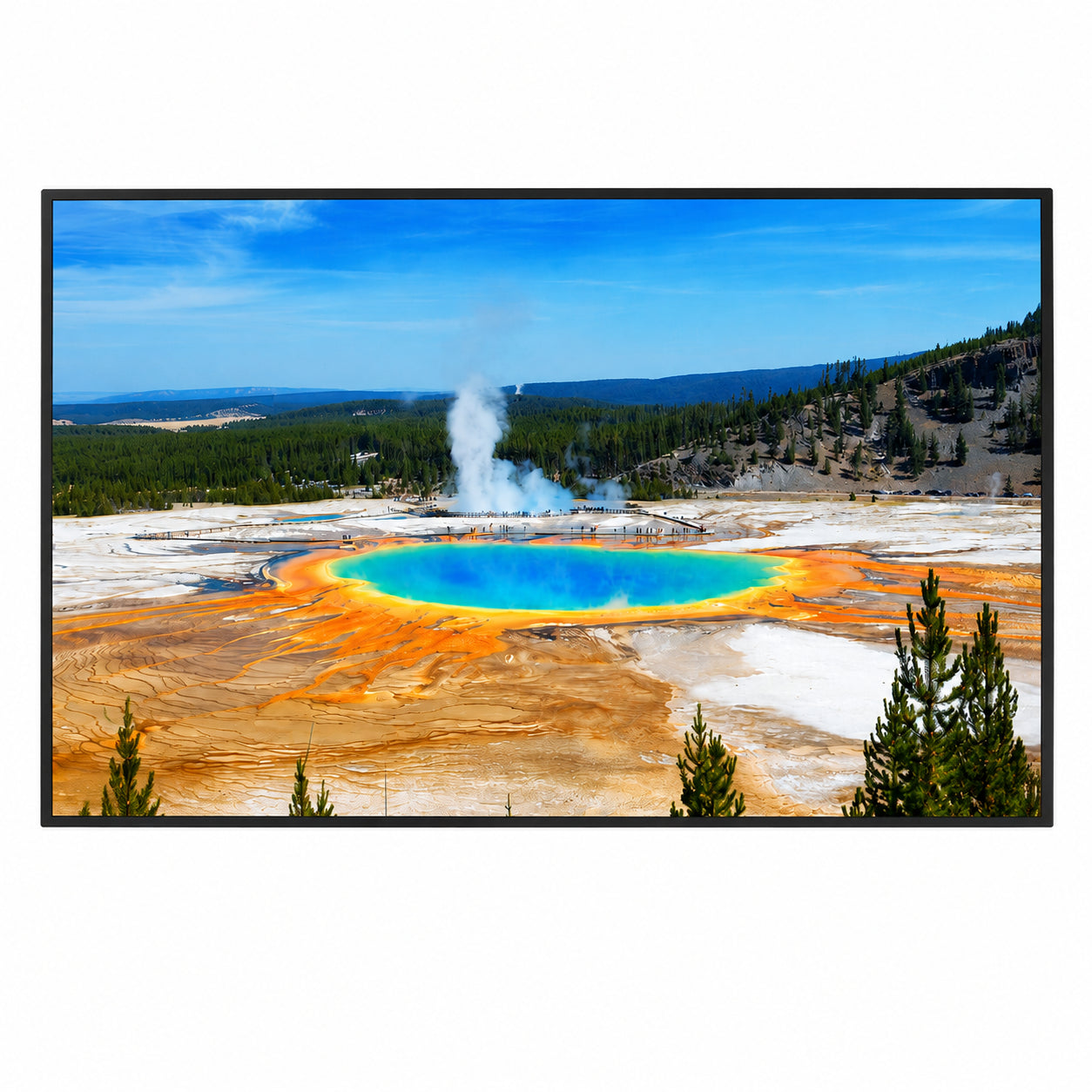 Planar Systems Simplicity Series SLM50 50" UHD 4K Commercial Monitor