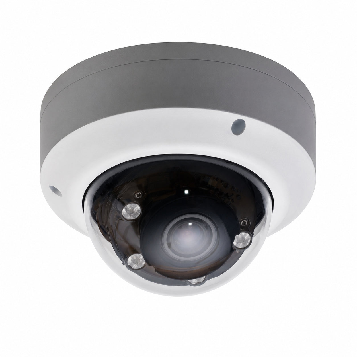 Ganz ZN-VDZM212-DLP Megapixel Outdoor Network IR Dome Camera, 2.8-12mm Lens